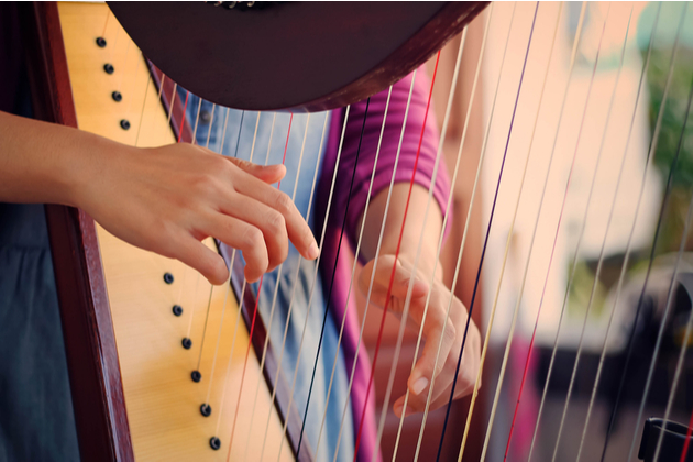 Get Employment Legal Advice & Assistance